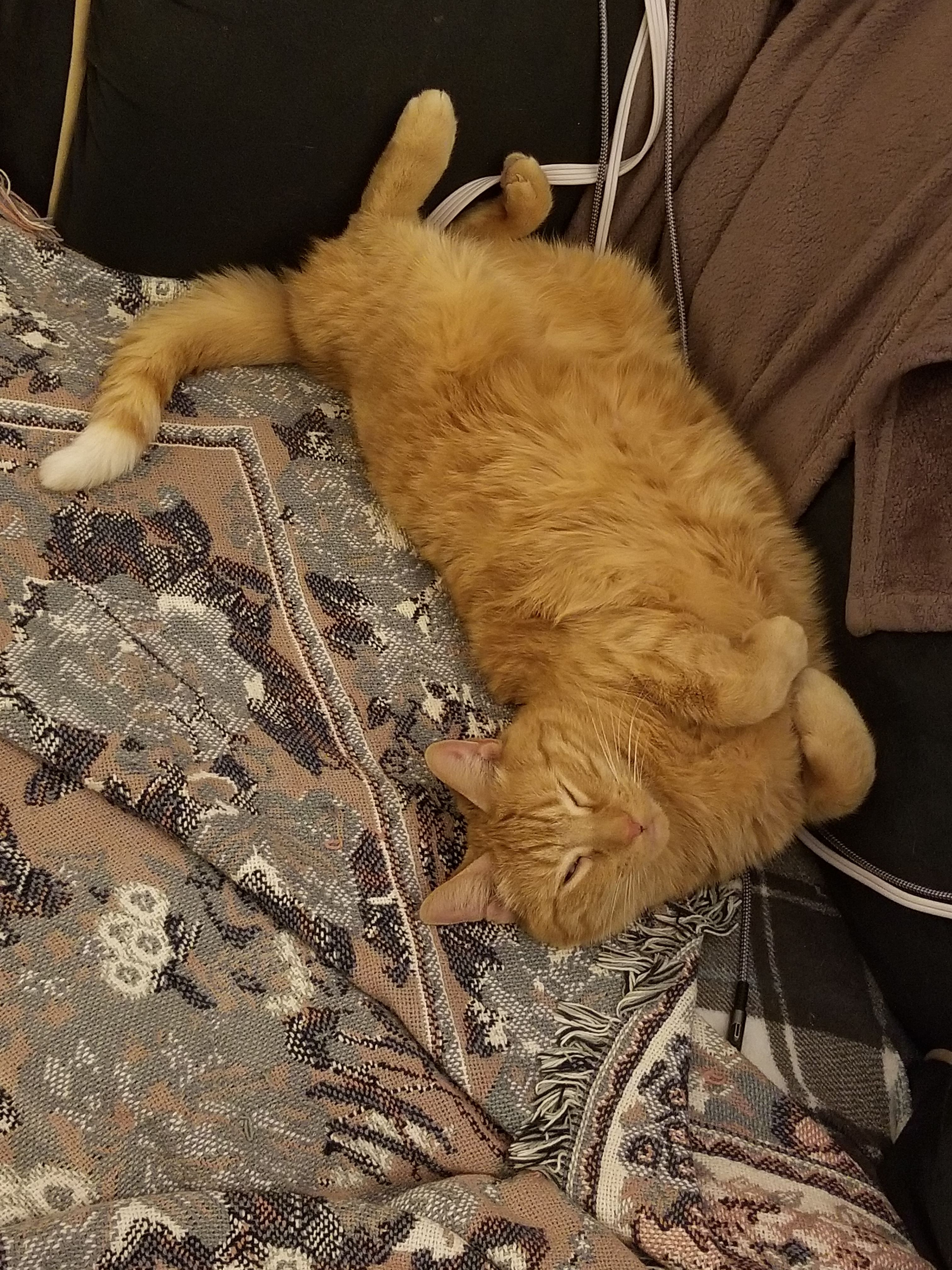 An orange tabby cat laying on his back on a heated sofa