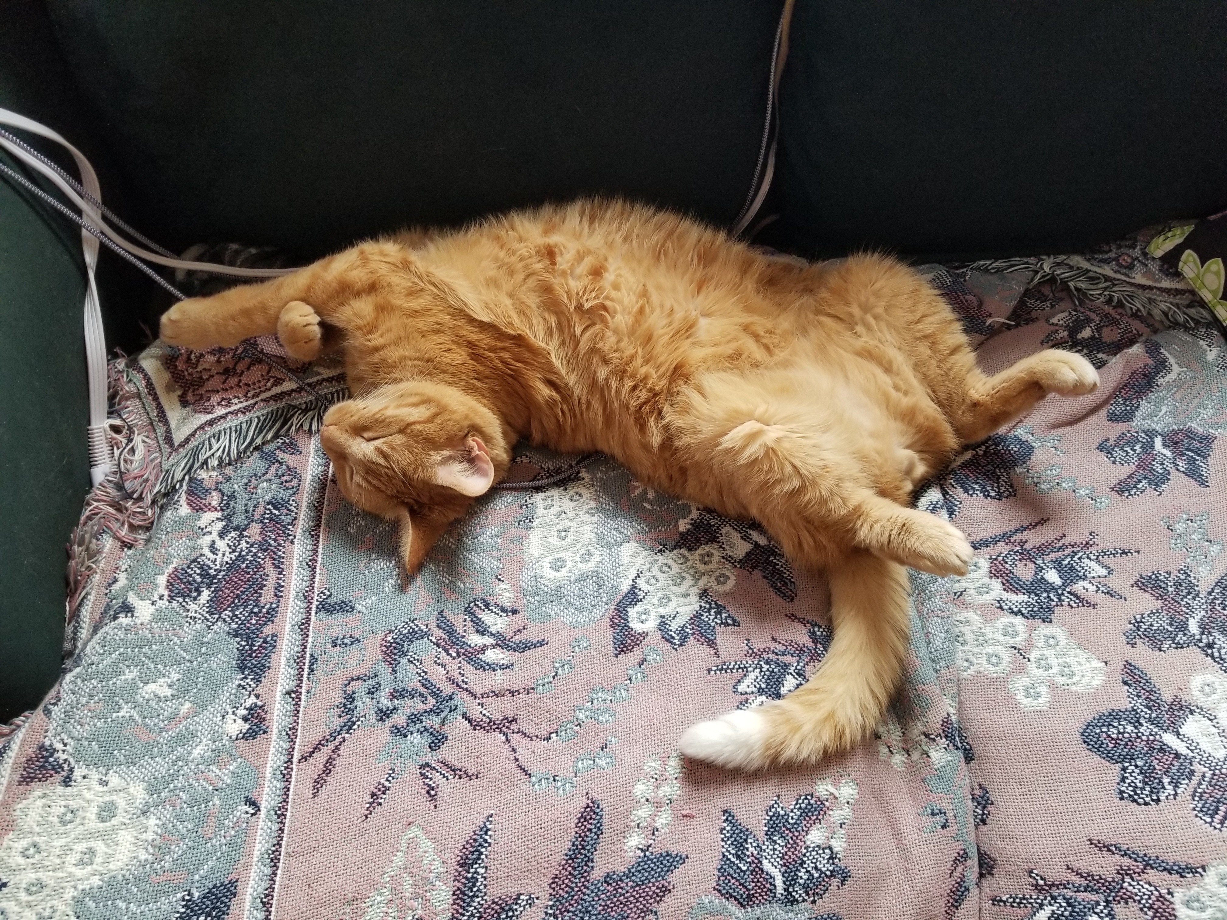 Orange tabby cat sprawled out on a heated blanket, asleep